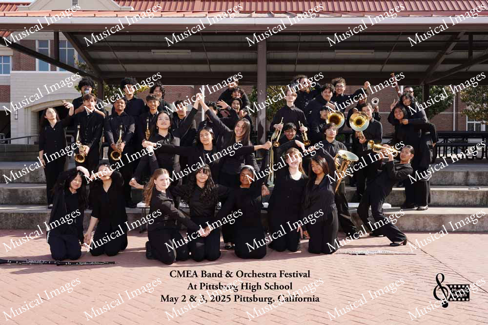 Musical Images